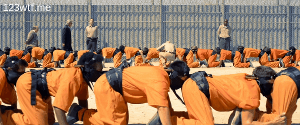 human-centipede-3-21-gif-you-dont-have-t